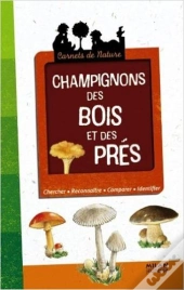 Champignons Des Bois Et Des Prés