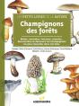Champignons Des Forêts - Preview