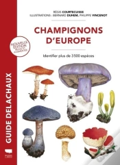 Capa do artigo Champignons D