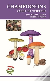 Champignons Guide De Terrain