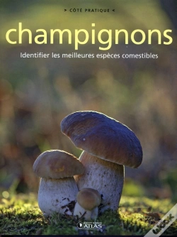 Capa do artigo Champignons ; Identifier Les Meilleures Espèces Comestibles