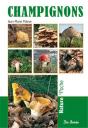 Champignons - Preview