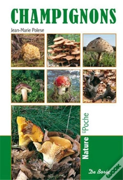 Capa do artigo Champignons