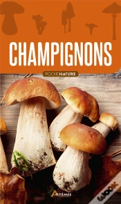 Capa do artigo Champignons