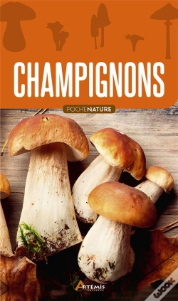 Capa do artigo Champignons