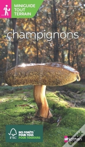 Capa do artigo Champignons