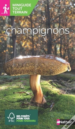 Capa do artigo Champignons