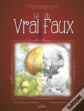 Champignons : Le Vrai Du Faux