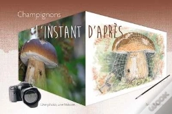 Capa do artigo Champignons : L'Instant D'Apres