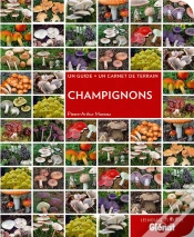 Capa do artigo Champignons