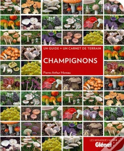 Capa do artigo Champignons