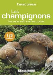 Champignons