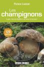 Champignons - Preview