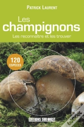Champignons