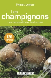 Capa do artigo Champignons