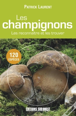 Capa do artigo Champignons