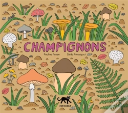 Capa do artigo Champignons