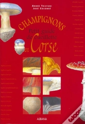 Capa do artigo Champignons - Petit Guide De Cueillette En Corse