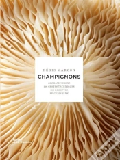 Capa do artigo Champignons