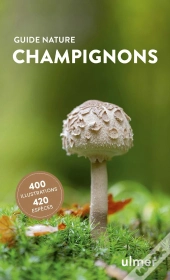 Champignons