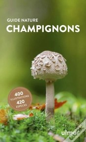 Capa do artigo Champignons