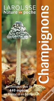 Capa do artigo Champignons