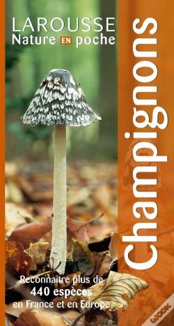 Capa do artigo Champignons