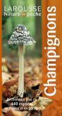 Champignons - Preview
