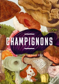 Capa do artigo Champignons : Secrets Des Sous-Bois