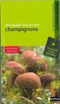 Champignons - Preview