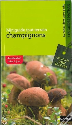 Capa do artigo Champignons