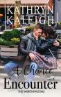 Chance Encounter - Preview