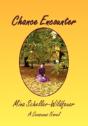 Chance Encounter - Preview