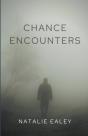 Chance Encounters - Preview