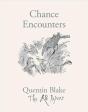 Chance Encounters - Preview