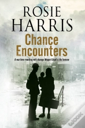 Capa do artigo Chance Encounters