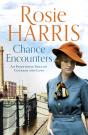 Chance Encounters - Preview