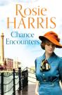 Chance Encounters - Preview