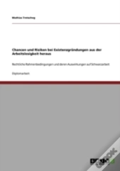Chancen Und Risiken Bei Existenzgrandungen Aus Der Arbeitslosigkeit Heraus