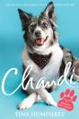 Chandi - Preview
