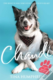 Capa do artigo Chandi