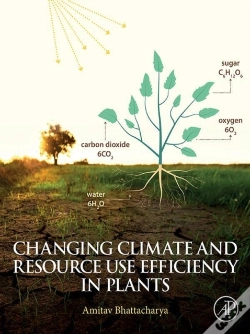 Capa do artigo Changing Climate And Resource Use Efficiency In Plants