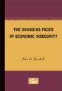 Changing Faces Economic Insecurity - Preview