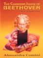 Changing Image Of Beethoven - Preview