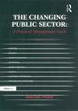 Changing Public Sector: A Practical Management Guide - Preview