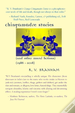 Capa do artigo Chango Chingamadre Stories