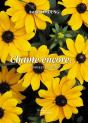 Chante Encore... - Preview
