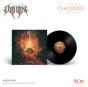 Chaosmos - Vinil - Preview