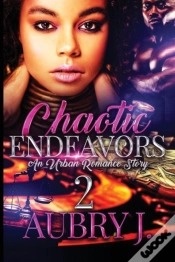 Capa do artigo Chaotic Endeavors 2