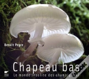 Capa do artigo Chapeau Bas ! Le Monde Insolite Des Champignons